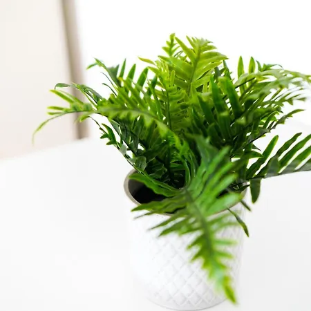 Bege Teamhome Solingen