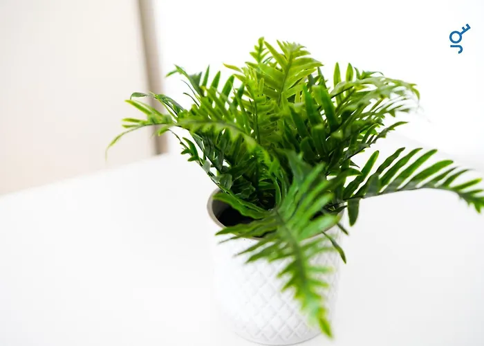 Bege Teamhome Solingen