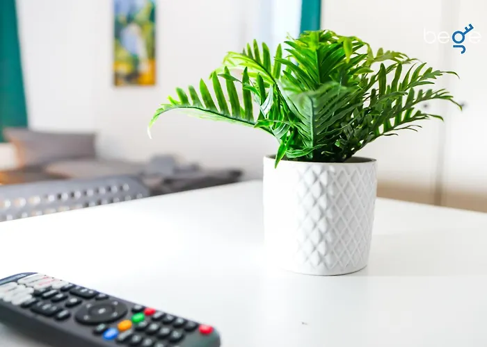 Lejlighed Bege Teamhome *